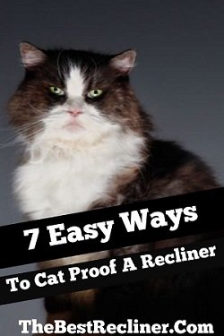 Ways To Cat Proof Recliner